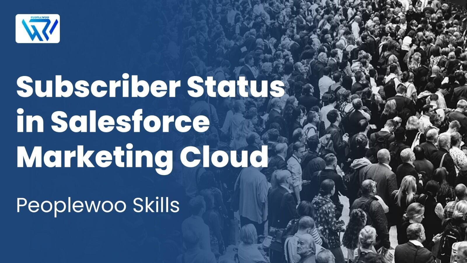 Subscriber Status in Salesforce Marketing Cloud | Peoplewoo Skills
